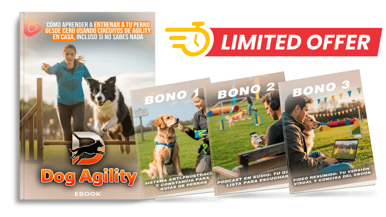 Pack Dog Agility Completo